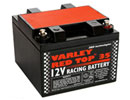 o[[bhgbv(VARLEY RED TOP)[VOobe[(RACING BATTERIES)Red Top-35