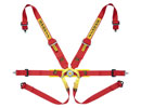 Txg(Sabelt)@V[gxg(Harness)@FORMULA STEEL CCS652FRU