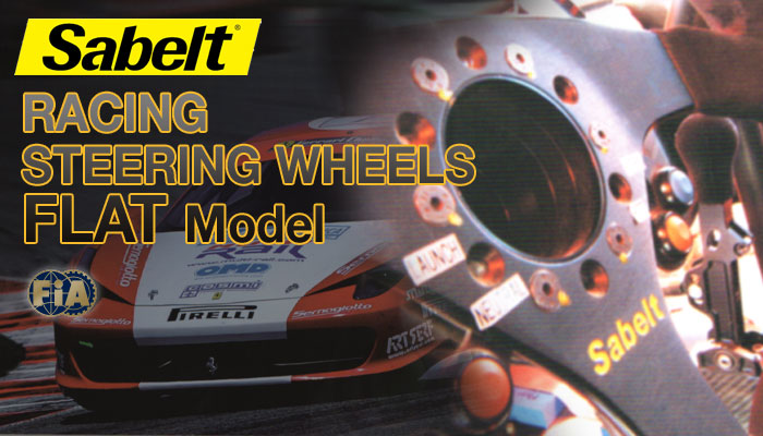 Txg(Sabelt)@XeAO tbg f(STEERING FLAT MODEL)