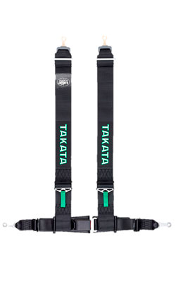 ^J^(TAKATA)@[VOV[gxg